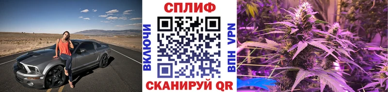купить наркотики сайты  Харабали  Бошки марихуана сатива 